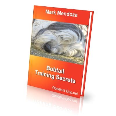 Bobtail Training Secrets - How To Train a Bobtail