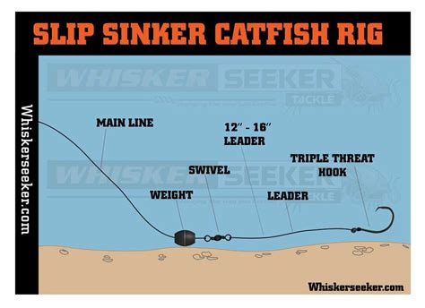 Catfish Rigs - Whisker Seeker Tackle