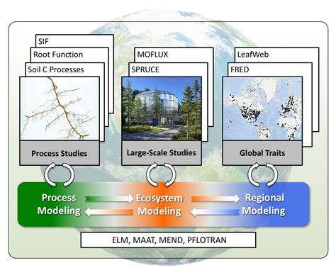 Terrestrial Ecosystem Science - Environmental System Science Program Environmental System ...