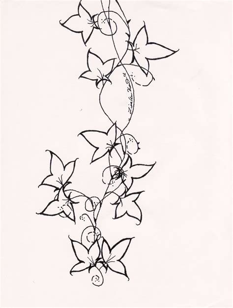 Ivy Vine Drawing at PaintingValley.com | Explore collection of Ivy Vine Drawing