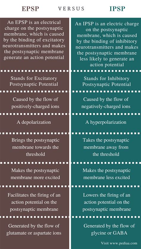 Difference Between EPSP and IPSP - Comparison Summary Biology Textbook ...