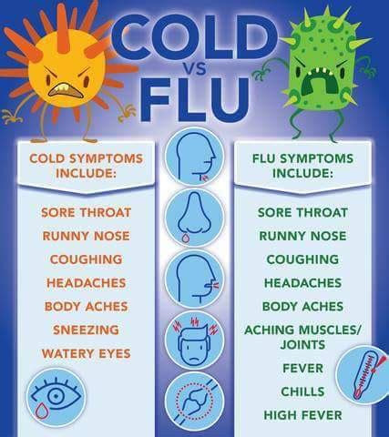 Cold vs Flu : r/coolguides