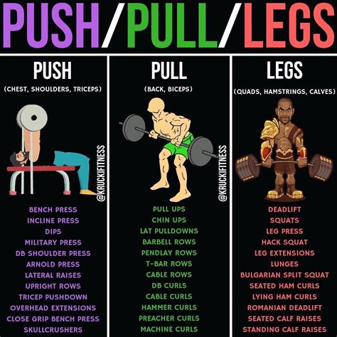 PUSH/PULL/LEGS! If you are doing a push/pull/legs split, you really ...