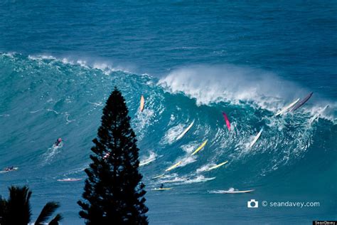 Huge Surf On North Shore Of Oahu Shows You Don't Have To Go To Nazaré To See Nature's Fury ...