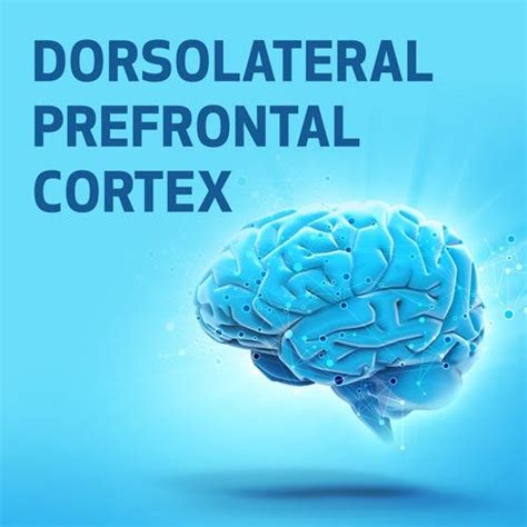 Dorsolateral Prefrontal Cortex CEU | Lhasa OMS