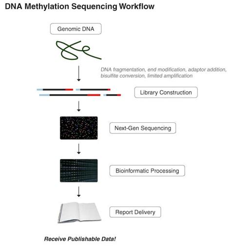 Genome-Wide DNA Methylation Analysis