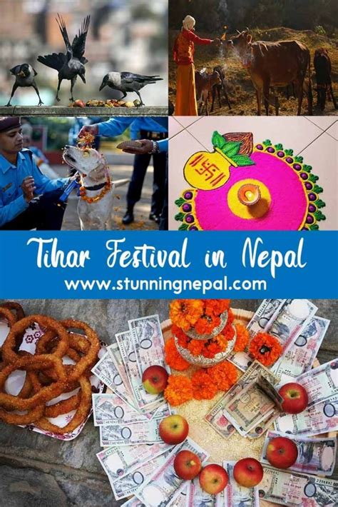 Tihar Festival in Nepal | Diwali - Festival of Lights - Stunning Nepal