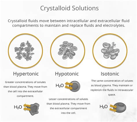 Types of IV Fluids & Use Cases | Vibrant Vitality Clinic