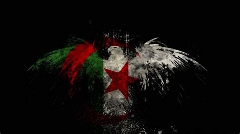 algerian flag algeria done wallpaper HD Wallpaper | Algerian flag, Flag ...