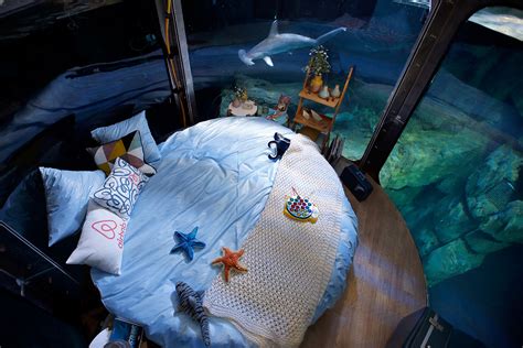 Airbnb Aquarium: Guests sleep in 360-degree underwater bedroom ...