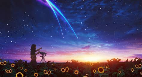 Stargazing In The Sunflower Fields Wallpaper,HD Artist Wallpapers,4k Wallpapers,Images ...