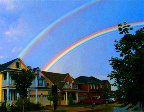 double rainbow - The Double Rainbow Song Photo (19263108) - Fanpop