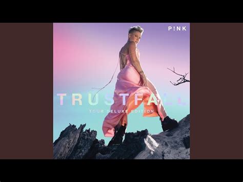 P!nk - All Out Of Fight, chords, lyrics, video