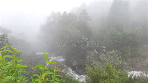 Kodaikanal Hill Station Tamilnadu India Stock Photo - Image of station ...