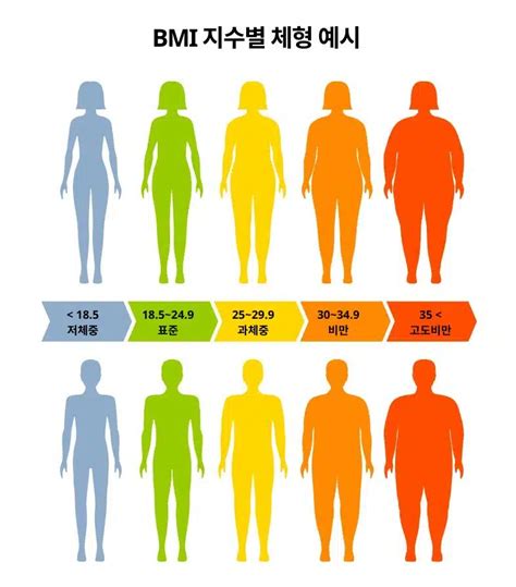 BMI 계산기 | 가장 쉽게 체질량지수(비만도)를 확인하는 방법!