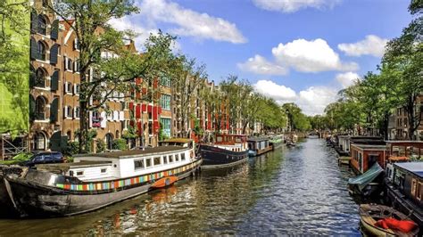 The Amsterdam Canals | 3 Bros Cookies