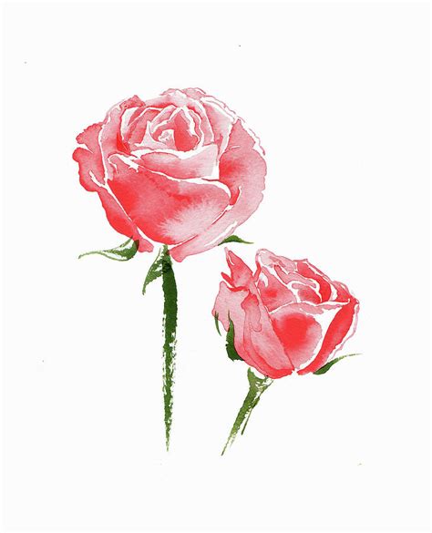 Watercolor Painting Of Two Pink Roses Painting by Ikon Images - Pixels