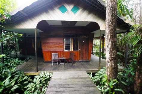 13 Best Ecolodges and Eco Resorts in Indonesia [2024]