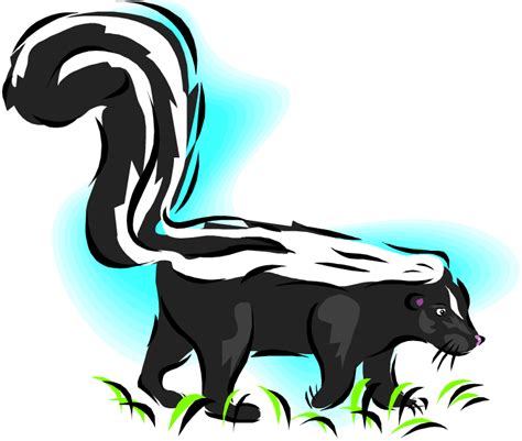 Face clipart skunk, Face skunk Transparent FREE for download on WebStockReview 2024