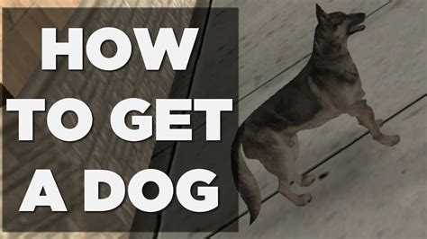 HOW TO GET A DOG IN GTA SAN ANDREAS - YouTube