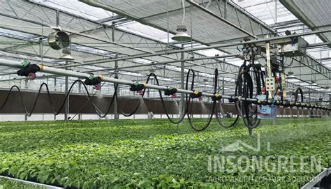 Greenhouse Irrigation System - INSONGREEN