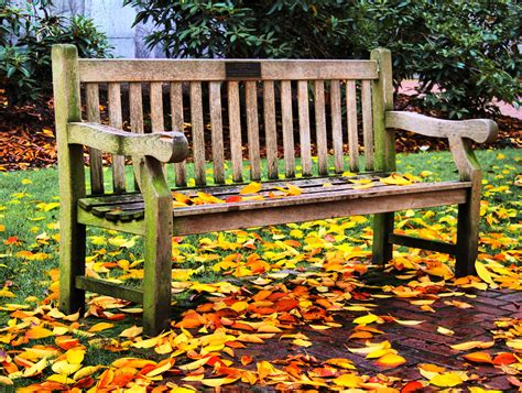 Garden Bench | HDR image of a garden bench on the University… | Flickr