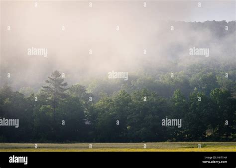 Monongahela national forest hi-res stock photography and images - Alamy