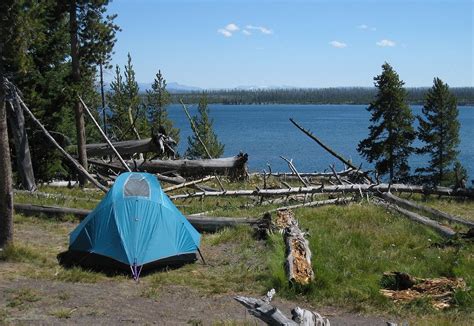 Yellowstone Camping Reservations 2024 - Cyndie Carolyn