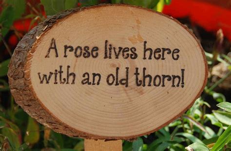 Humorous Garden Signs Ideal Gift For The by AMixedBagCanada. , via Etsy ...