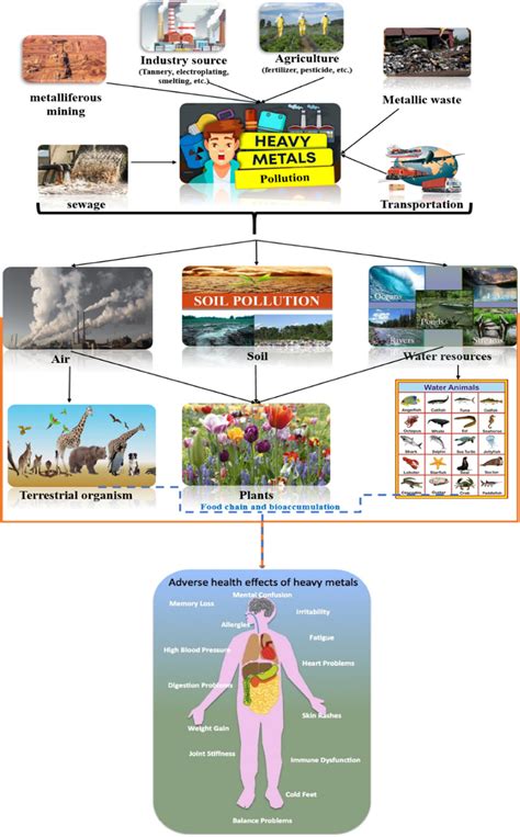 The sources of heavy metal pollution and the impact on the environment... | Download Scientific ...