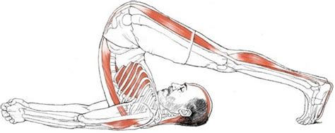 Halasana