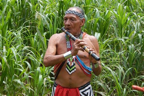 Full-Day Embera Village And Culture Tour From Panama City, Panama: Triphobo