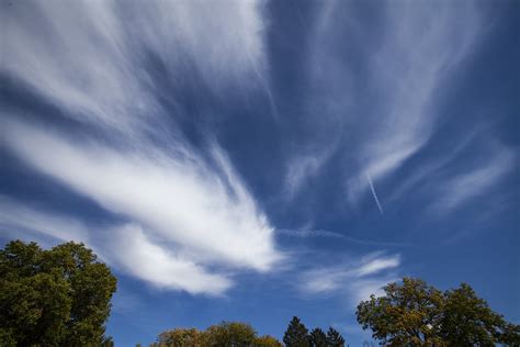 Artistic Cirrus Clouds — Weather Briefing, L.C.