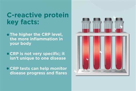 What Is C-Reactive Protein? What It Can Tell You About Your Autoimmune ...