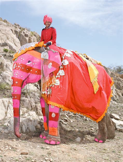 El desfile de los elefantes pintados · National Geographic en español ...