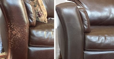 The 4 Best Leather Repair Kits For Couches