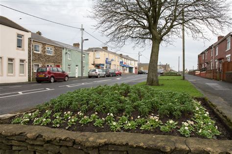 Flower bed, Front Street, Leadgate © Trevor Littlewood :: Geograph ...