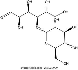 Molecular Structure Disaccharide Maltose Stock Illustration 291039929 | Shutterstock