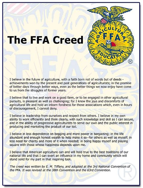 Rotan - FFA Creed