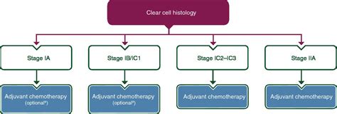 Chemotherapy For Ovarian Cancer Stage 3c - CancerWalls