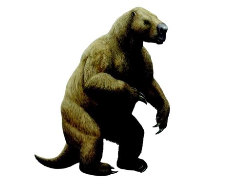 Mylodon darwinii: Darwin's ground sloth | Natural History Museum