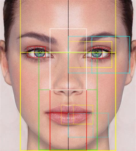 Golden Ratio Face Template