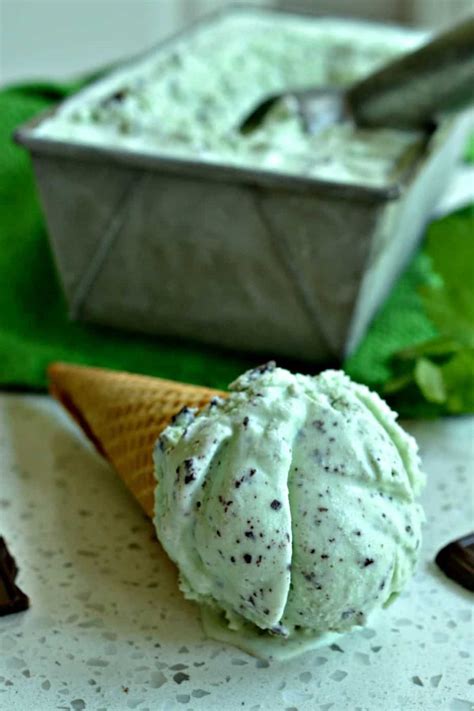 Mint Chocolate Chip Ice Cream - Small Town Woman