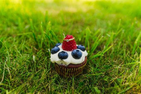 Blueberry Cupcake With Engagement Ring On The Grass - Creative Commons Bilder