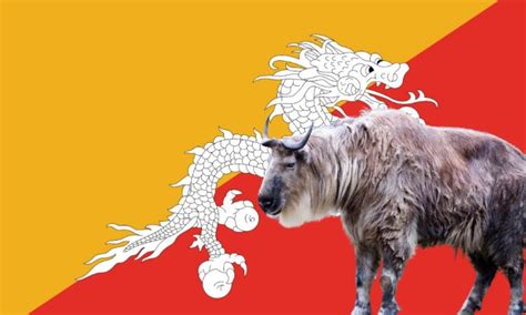 National Animal Of Bhutan (Helpful Content!) - Foreign Lingo