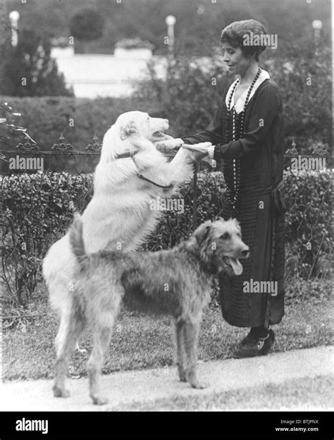 Calvin coolidge pets hi-res stock photography and images - Alamy