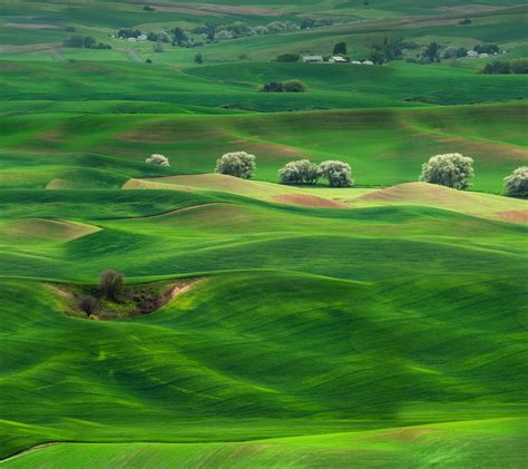 Wallpapers Of Grassland - Wallpaper Cave