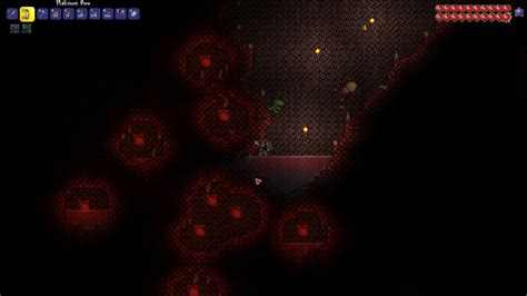 9 crimson hearts in same area : r/Terraria