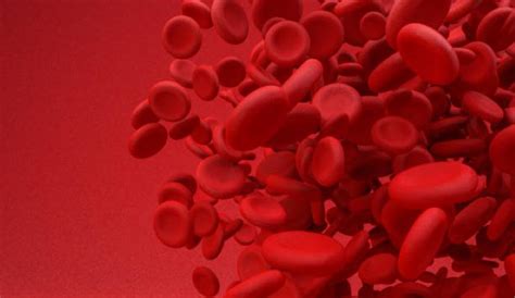 FDA Approves Cell-Based Gene Therapy for Patients with Beta Thalassemia