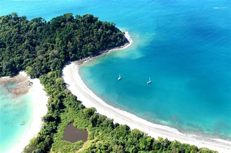 Meet the Manuel Antonio National Park in Costa Rica | The Costa Rica News